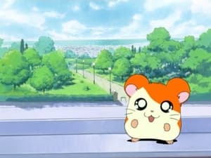 Hamtaro Epizóda 1