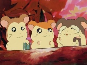 Hamtaro Epizóda 11