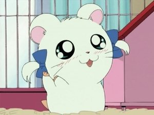 Hamtaro Epizóda 15