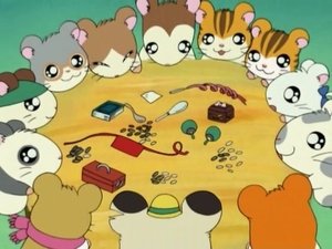Hamtaro Epizóda 17