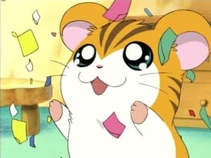 Hamtaro Epizóda 9