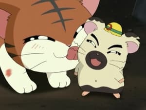 Hamtaro Epizóda 31