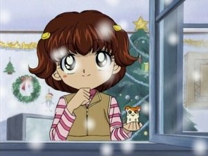 Hamtaro Epizóda 25