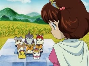 Hamtaro Epizóda 26