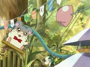 Hamtaro Epizóda 19