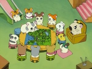 Hamtaro Epizóda 28