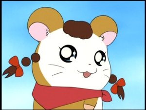 Hamtaro Epizóda 37