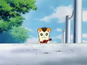Hamtaro Epizóda 10