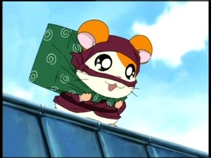 Hamtaro Epizóda 52