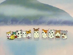Hamtaro Epizóda 23