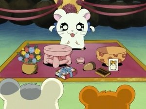 Hamtaro Epizóda 36