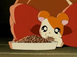 Hamtaro Epizóda 24