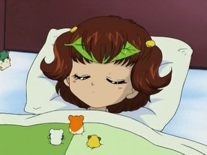 Hamtaro Epizóda 16