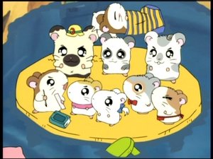 Hamtaro Epizóda 48