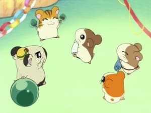Hamtaro Epizóda 14