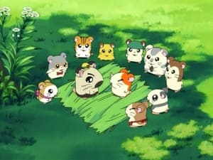 Hamtaro Epizóda 3
