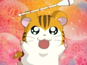 Hamtaro Epizóda 13