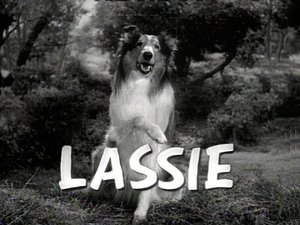 Lassie Epizóda 5