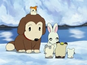 Hamtaro Epizóda 30