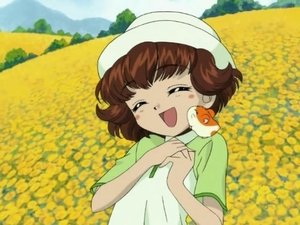 Hamtaro Epizóda 8