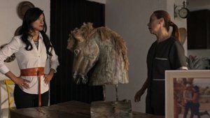 Skrytá vášeň Epizóda 34