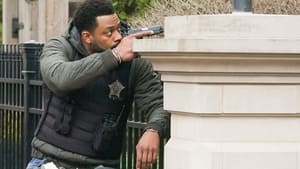 Chicago P.D. Epizóda 19