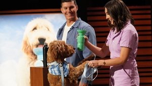 Shark Tank Epizóda 23