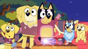 Bluey Rozhodujúci zápas