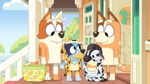 Bluey Kostýmy