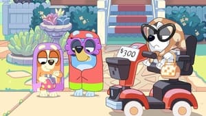 Bluey Babkamobil
