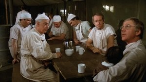 M*A*S*H 38 vodorovne