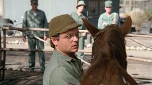 M*A*S*H Plukovníkov kôň