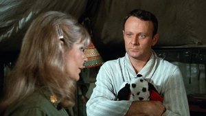 M*A*S*H Margaret a prázdna náruč