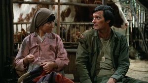 M*A*S*H Hawkeye