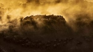 Nature Epizóda 1