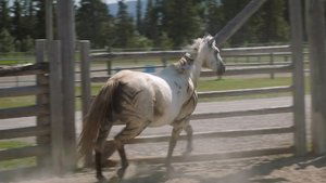 Heartland Epizóda 6