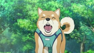 Detective Conan Epizóda 1081