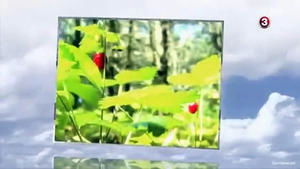 Moterys meluoja geriau Epizóda 7