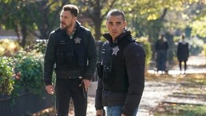 Chicago P.D. Epizóda 10