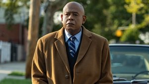 Godfather of Harlem Epizóda 8
