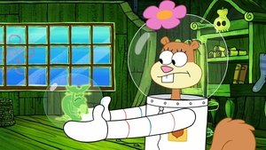 SpongeBob v šortkách Epizóda 64