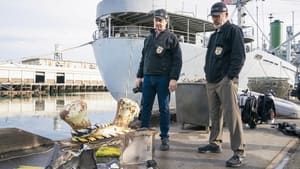 NCIS: Námorný vyšetrovací úrad Epizóda 13
