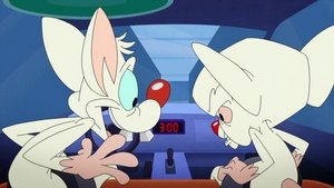 Animaniacs Epizóda 9