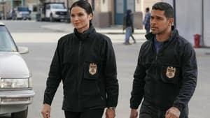 NCIS: Námorný vyšetrovací úrad Epizóda 14