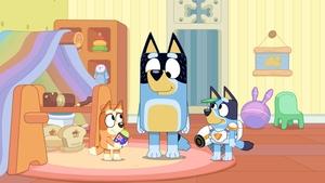 Bluey Prekvapenie