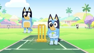 Bluey Kriket