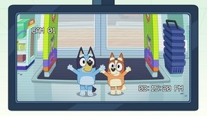 Bluey Telko obchod
