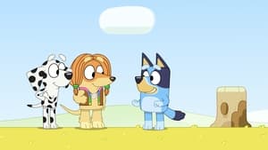 Bluey Divoké dievčatá