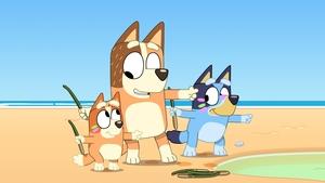 Bluey Halúzkovták