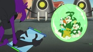 Animaniacs Epizóda 33
